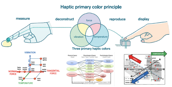 About the principle of haptic primary colors